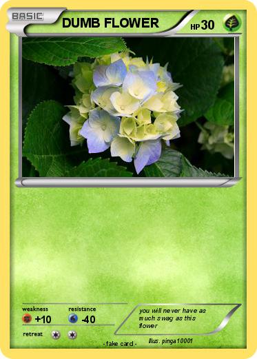 Pokemon DUMB FLOWER