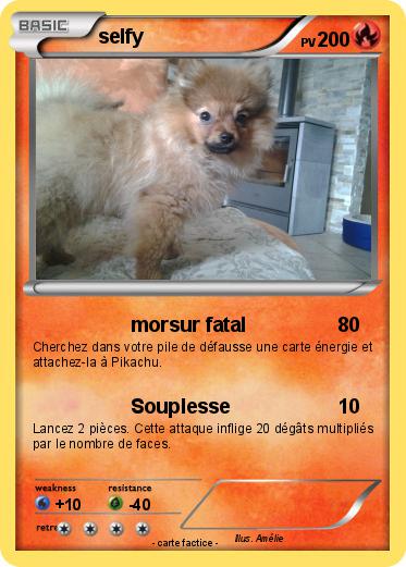 Pokemon selfy