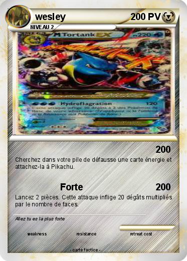 Pokemon wesley