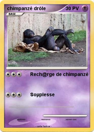 Pokemon chimpanzé drôle