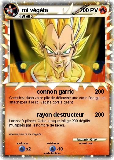 Pokemon roi végéta