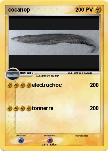Pokemon cocanop