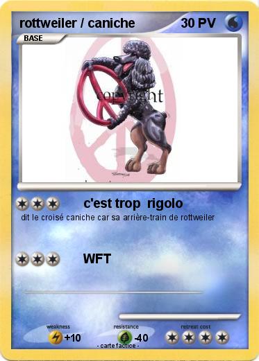 Pokemon rottweiler / caniche