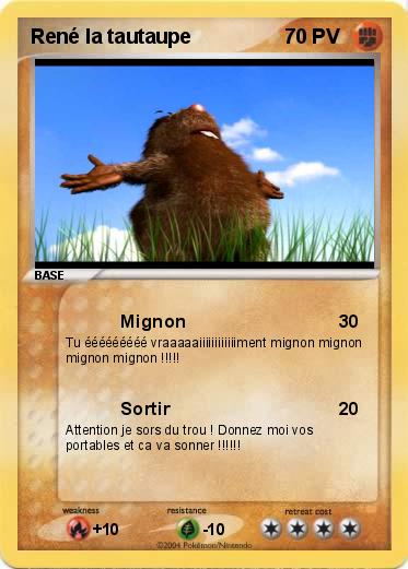 Pokemon René la tautaupe
