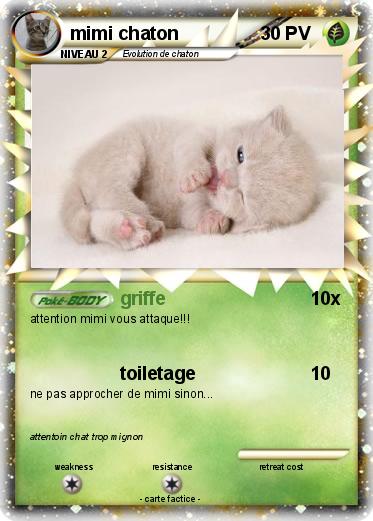 Pokemon mimi chaton