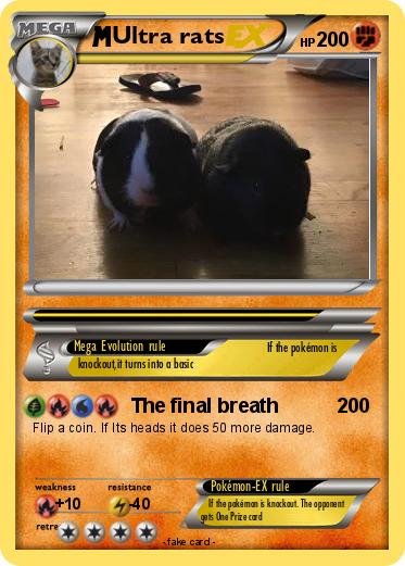 Pokemon Ultra rats
