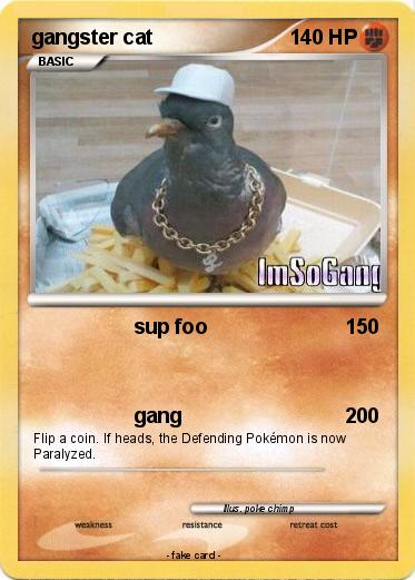 Pokemon gangster cat
