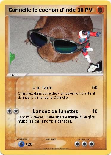 Pokemon Cannelle le cochon d'inde