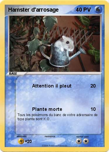 Pokemon Hamster d'arrosage