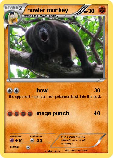 Pokemon howler monkey