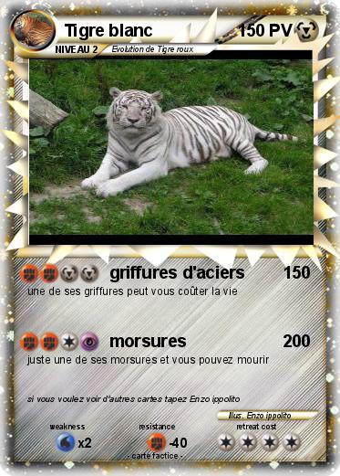 Pokemon Tigre blanc
