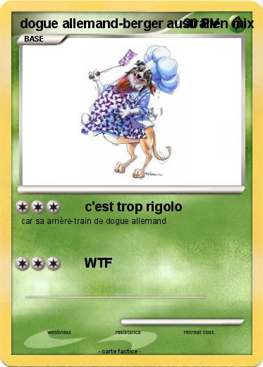 Pokemon dogue allemand-berger australien mix