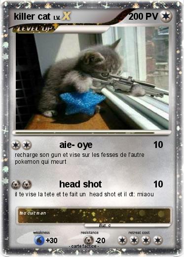 Pokemon killer cat