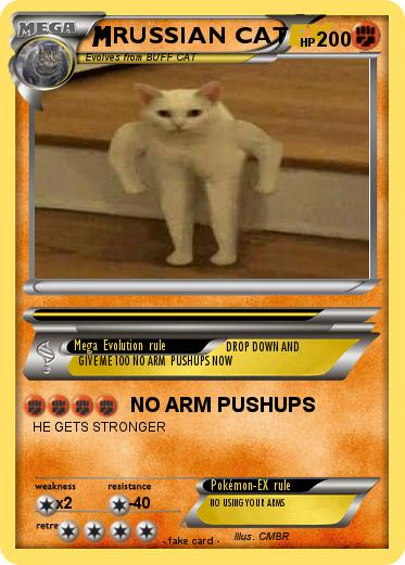 Pokemon RUSSIAN CAT