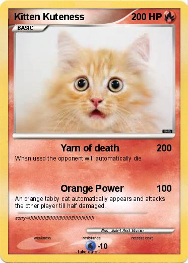 Pokemon Kitten Kuteness