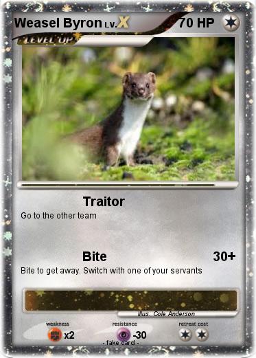 Pokemon Weasel Byron