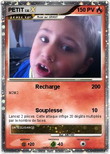 Pokemon PETIT