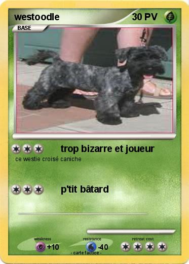 Pokemon westoodle