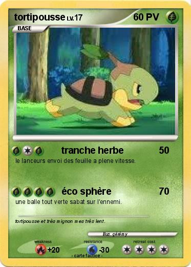 Pokemon tortipousse