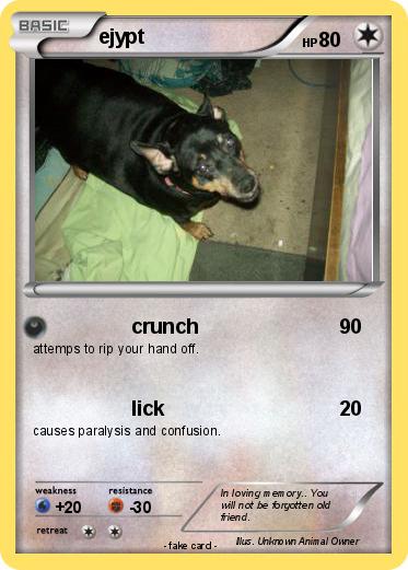 Pokemon ejypt
