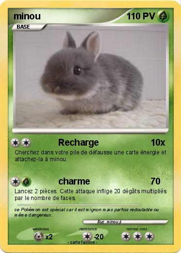 Pokemon minou