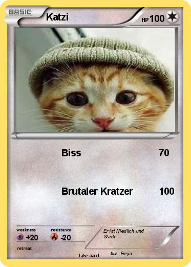 Pokemon Katzi