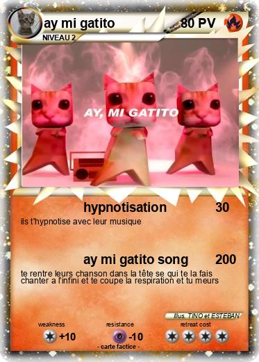 Pokemon ay mi gatito
