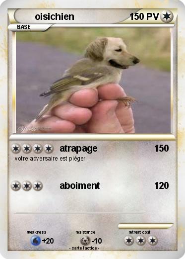 Pokemon oisichien