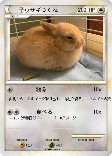 Pokemon 子ウサギつくね