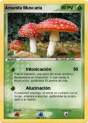 Pokemon Amanita Muscaria