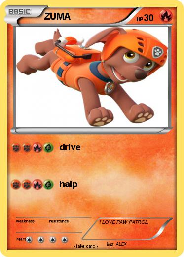 Pokemon ZUMA