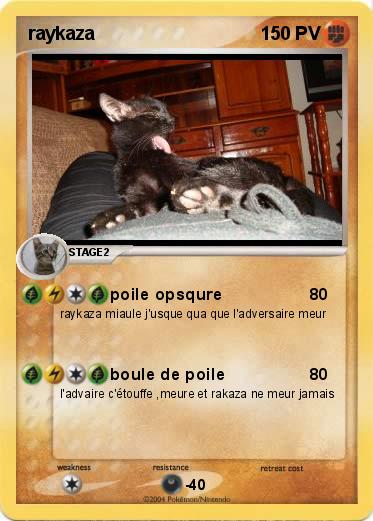 Pokemon raykaza                                                                               999