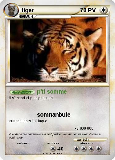 Pokemon tiger