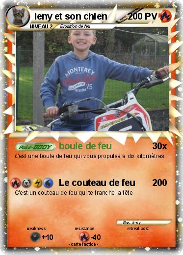 Pokemon leny et son chien