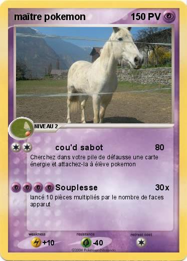Pokemon maître pokemon