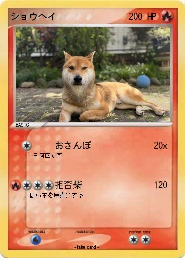 Pokemon ショウヘイ