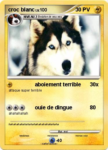 Pokemon croc blanc
