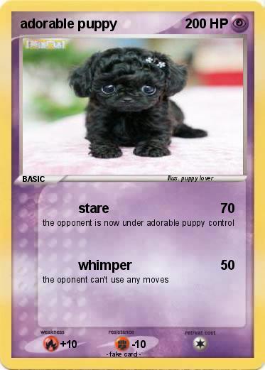 Pokemon adorable puppy