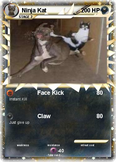 Pokemon Ninja Kat