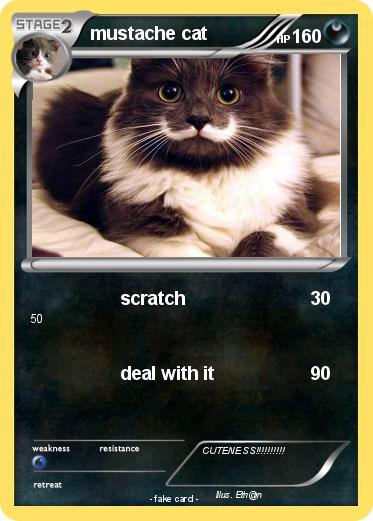 Pokemon mustache cat