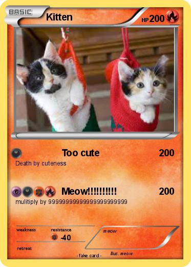 Pokemon Kitten
