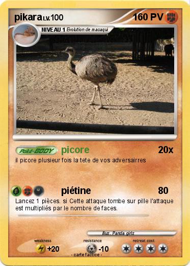 Pokemon pikara