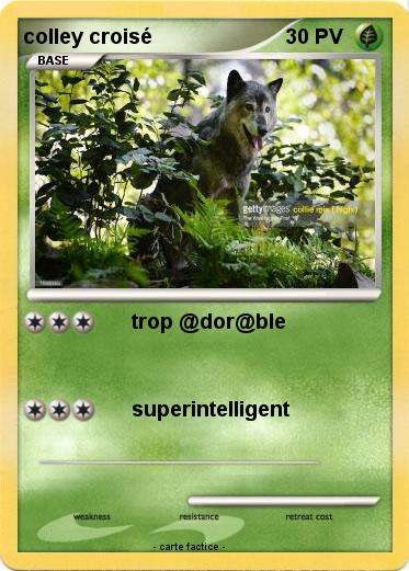 Pokemon colley croisé