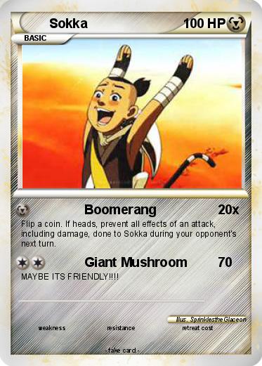 Pokemon Sokka