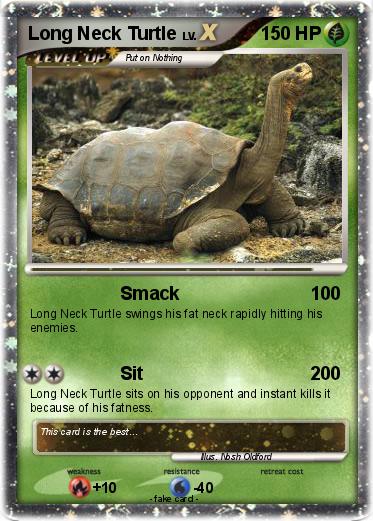 Pokemon Long Neck Turtle