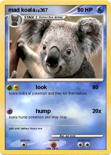 Pokemon mad koala
