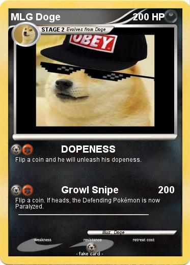 Pokemon MLG Doge