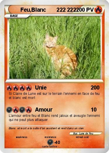 Pokemon Feu,Blanc       222 222