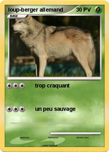 Pokemon loup-berger allemand
