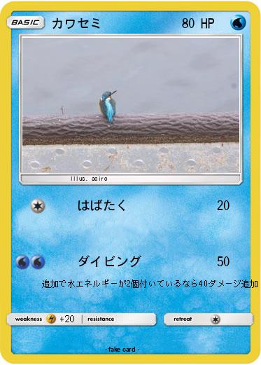 Pokemon カワセミ